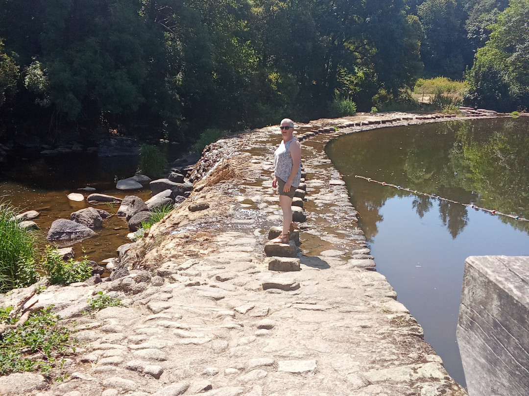 EcoMobile Loisirs-Saint-Malo-du-Bois必去景点