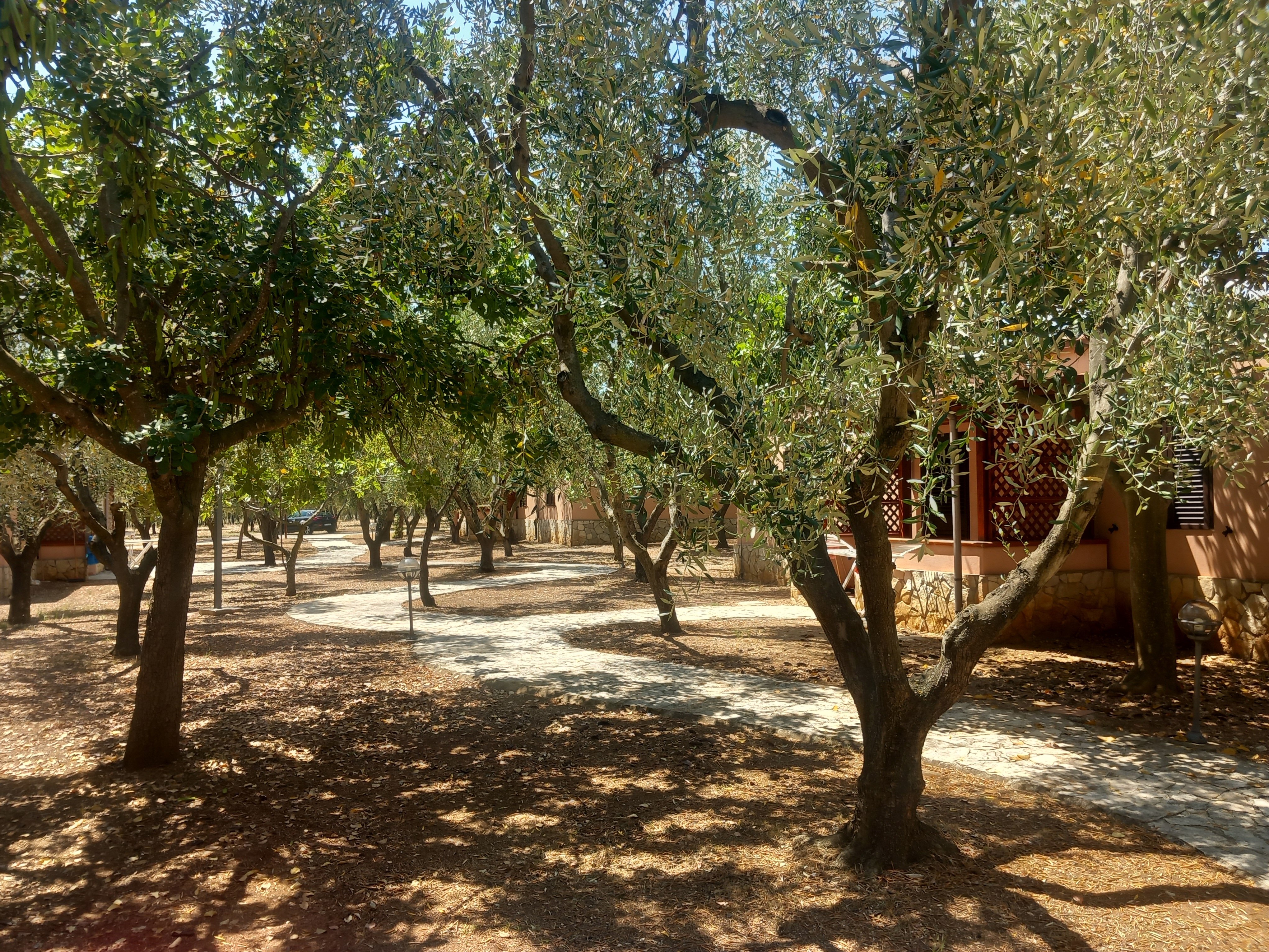 Santa Maria villaggio turistico-官方