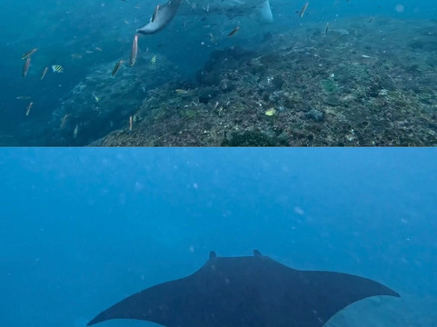The Sakti Nusa Penida-珀尼达岛必去景点