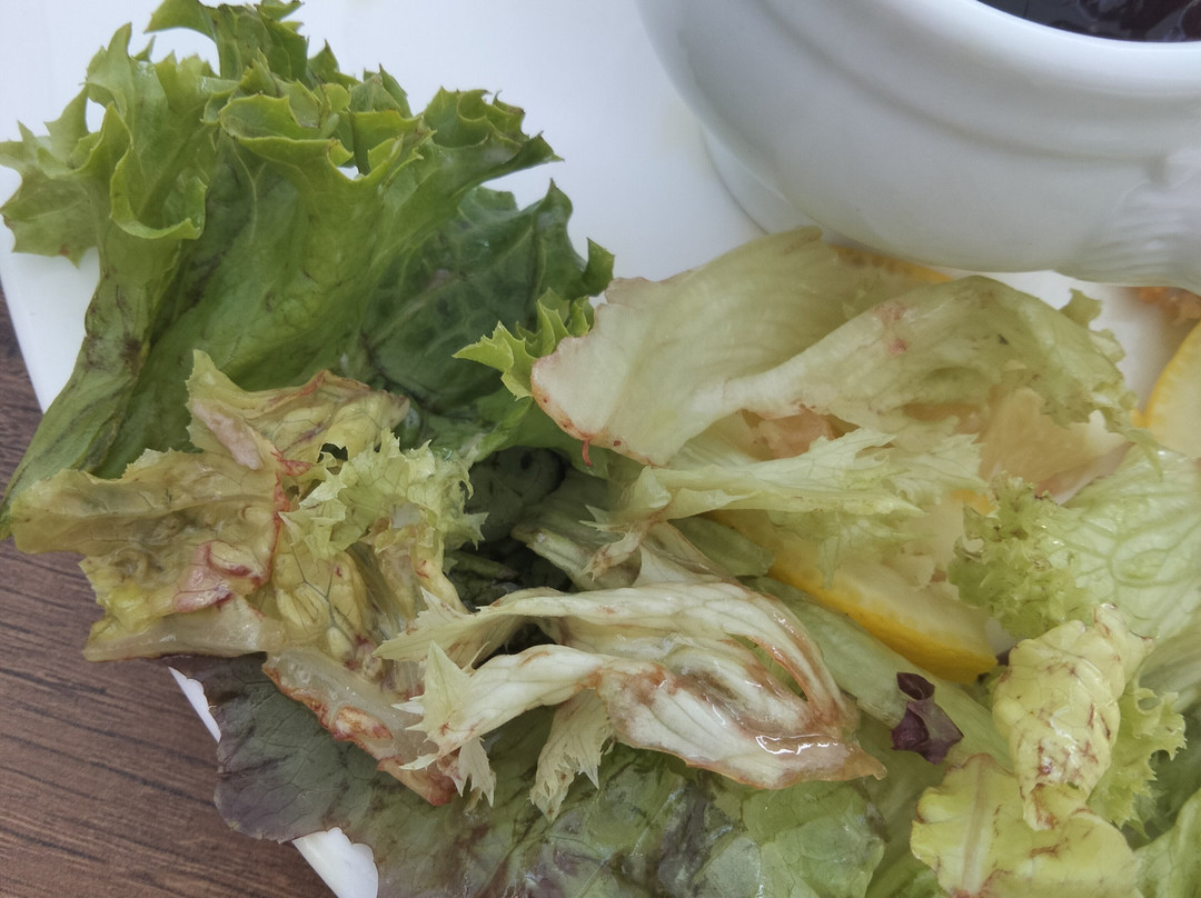 施普斯酒店主图