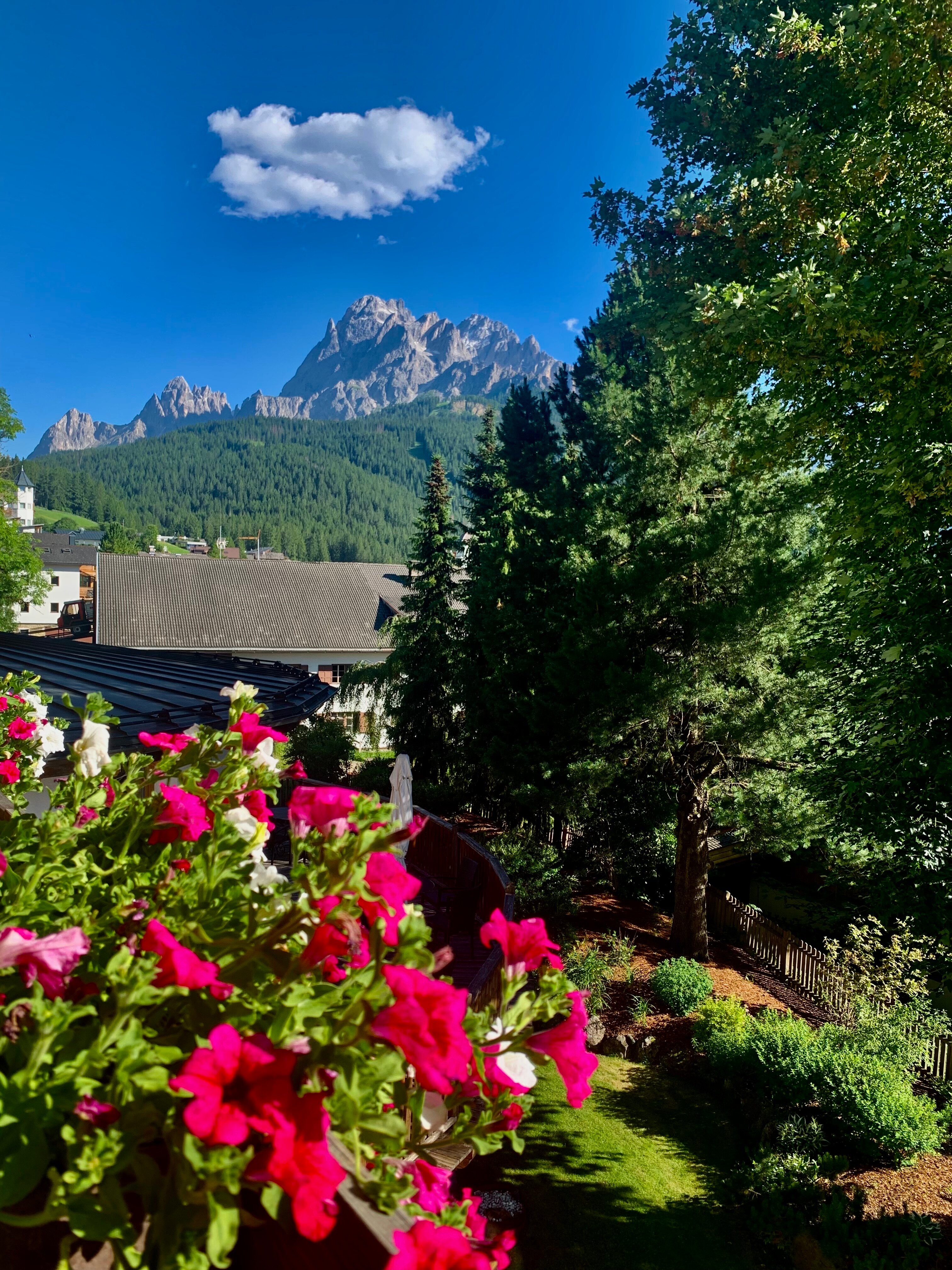 Hotel Alpenblick-酒店景观