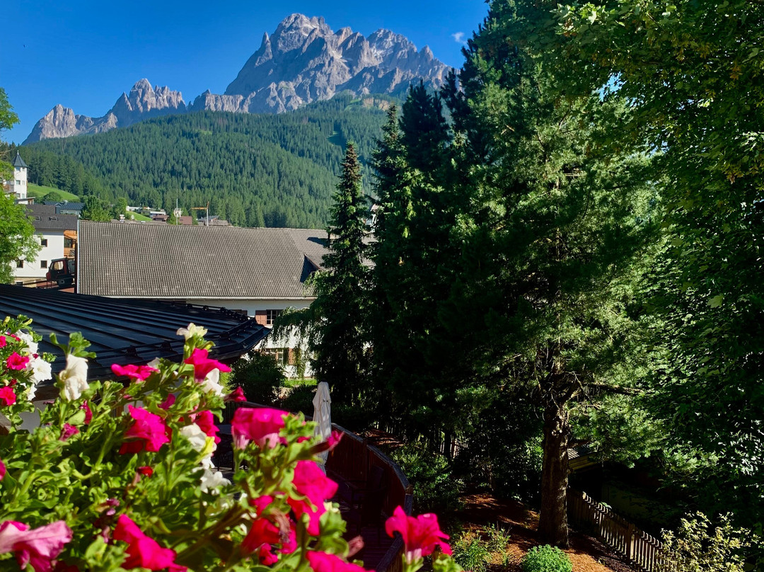 Hotel Alpenblick主图