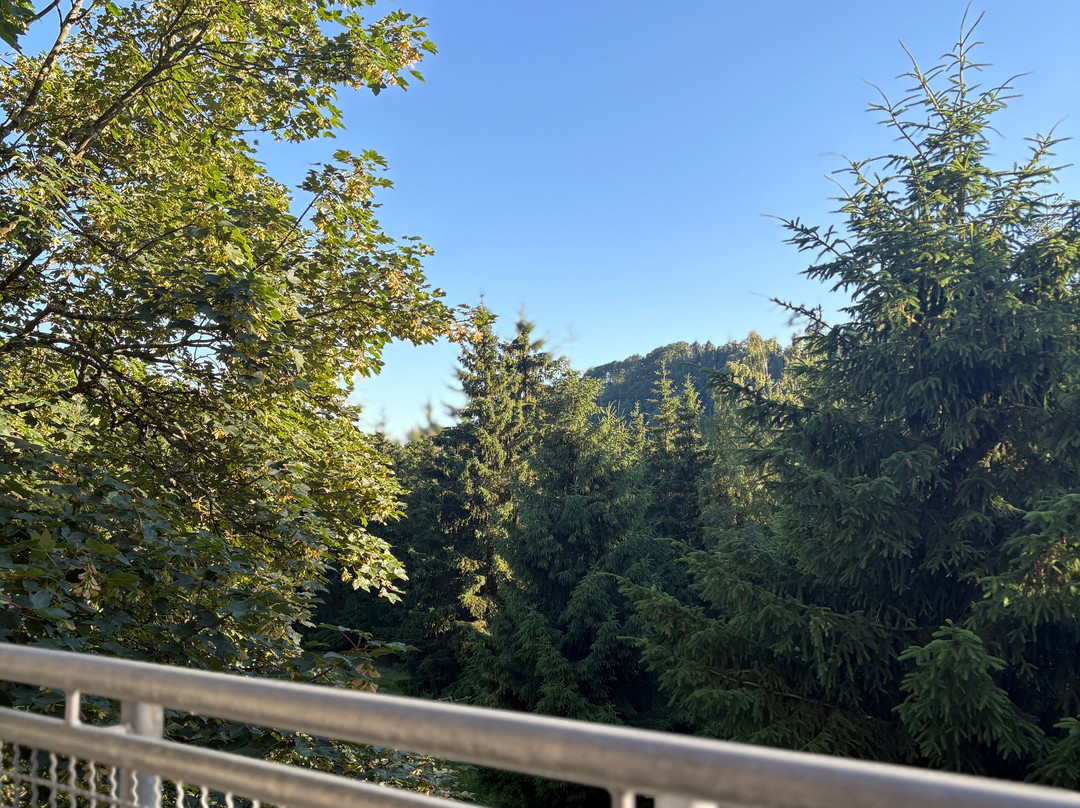 Brockenblick Ferienpark主图