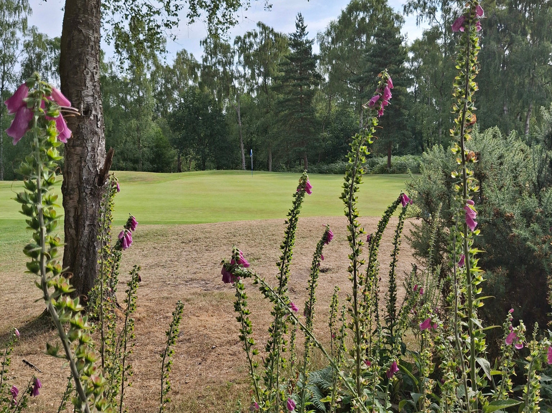 Moorland Course-Morley必去景点