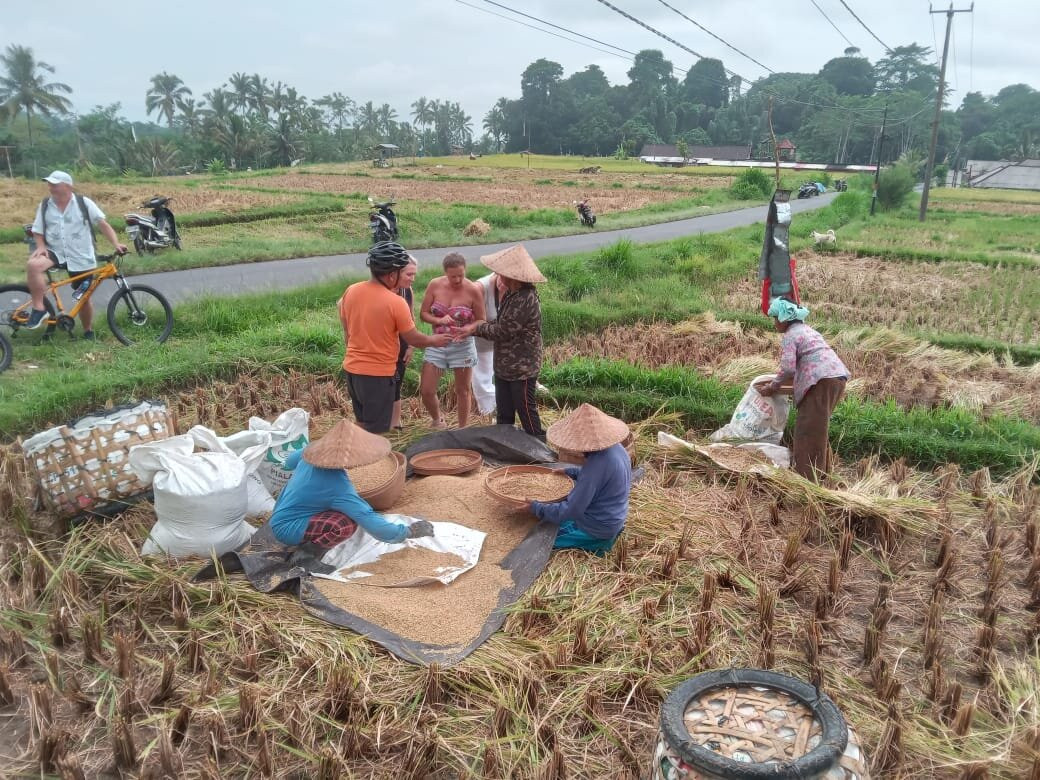巴厘滨塘之旅-吉安雅必去景点