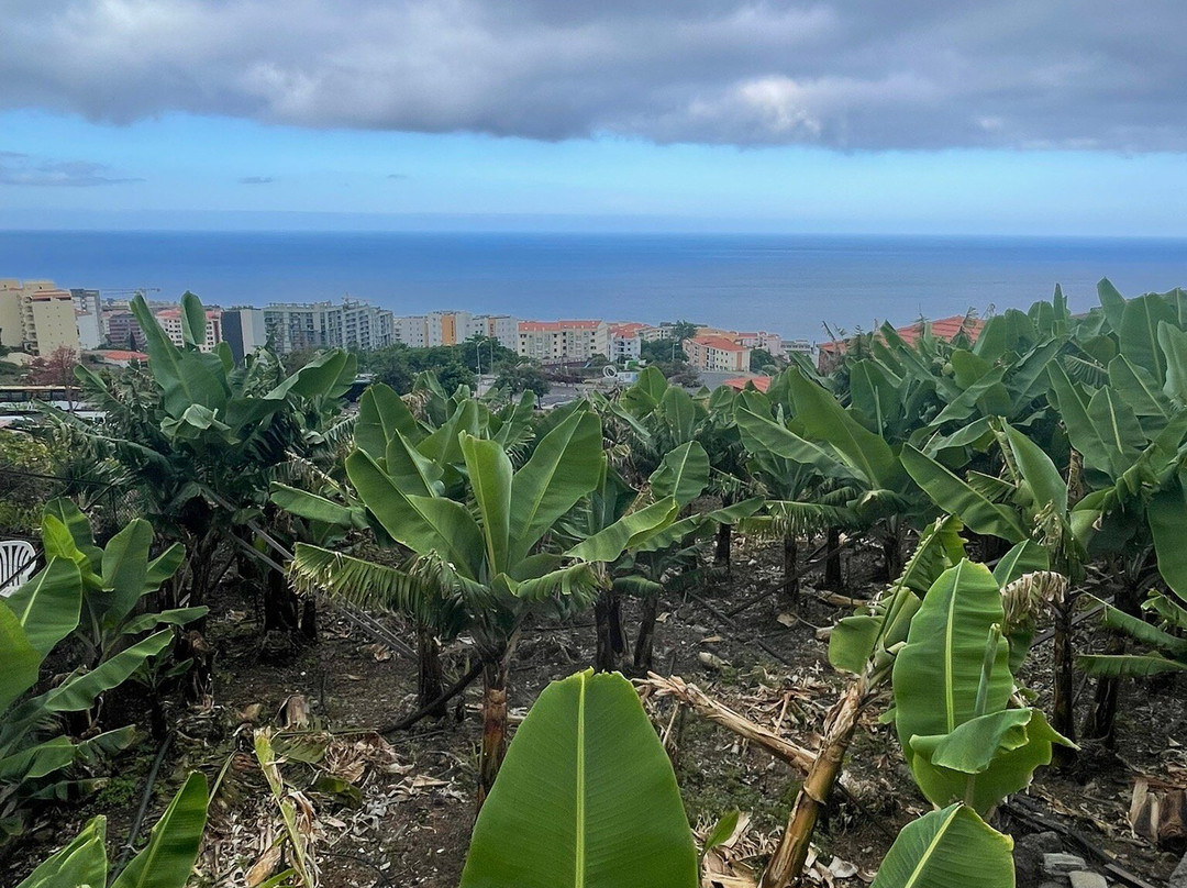 维拉马塔酒店主图