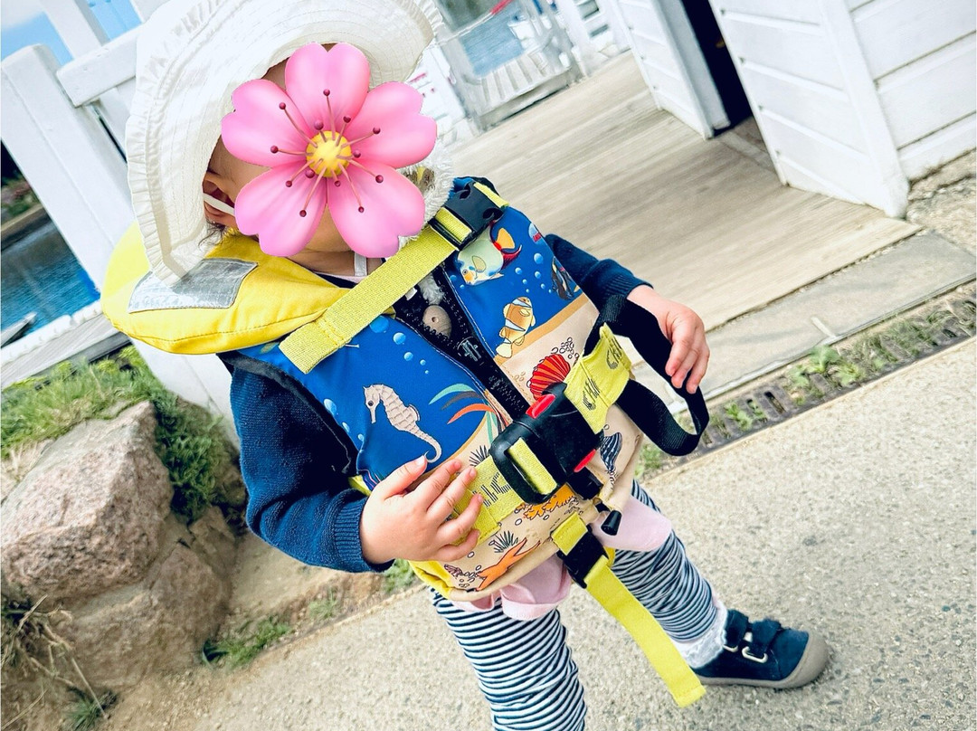 Le Port Miniature-皮若斯必去景点