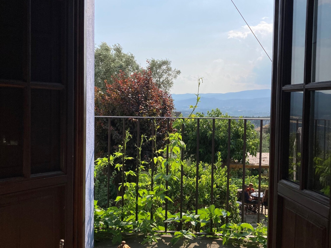 Abadía Samitier主图