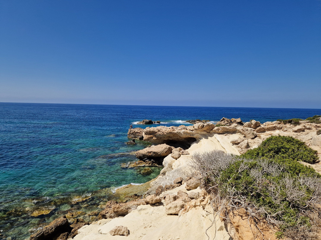 Cydive-帕福斯必去景点