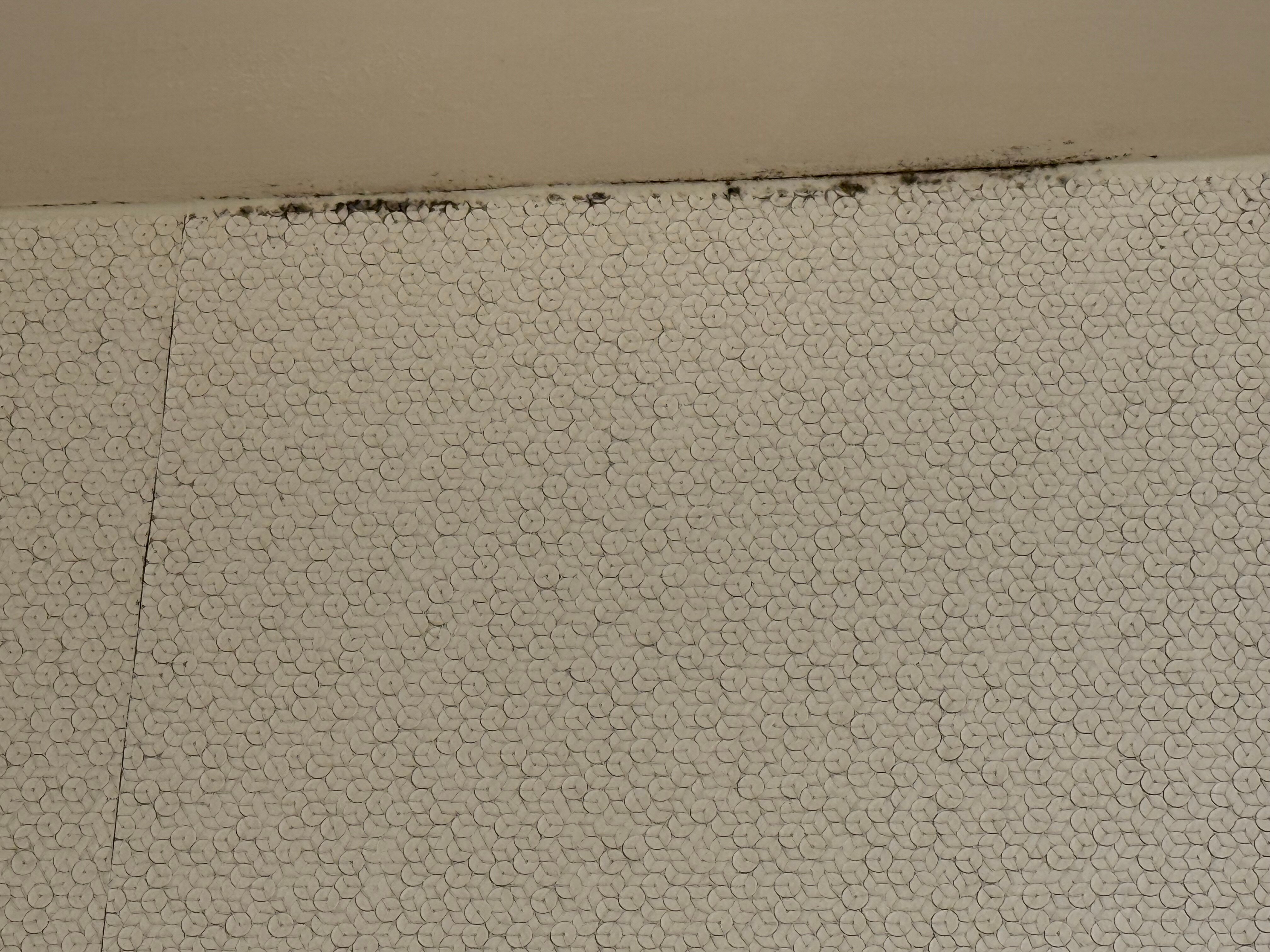 费城杨柳林春季山丘套房酒店-官方