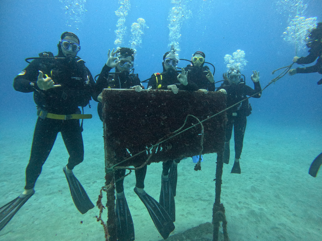 Museo Atlántico Underwater Museum-布兰卡滩必去景点