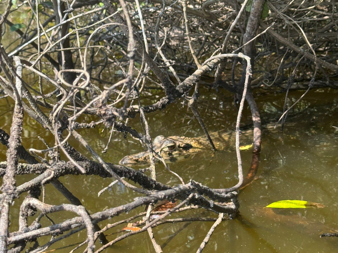 Tambopata Wild Life Perú-San Sebastian必去景点
