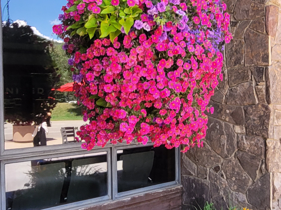 Viceroy Snowmass主图