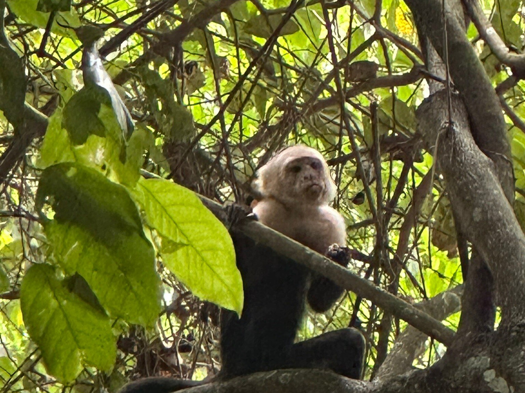 Carara National Park-卡拉拉必去景点