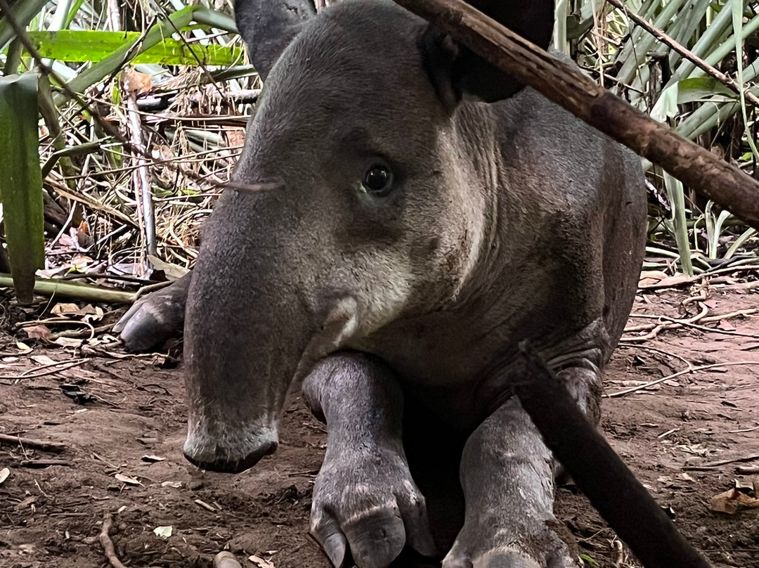 Casita y Tours Happy Feet主图