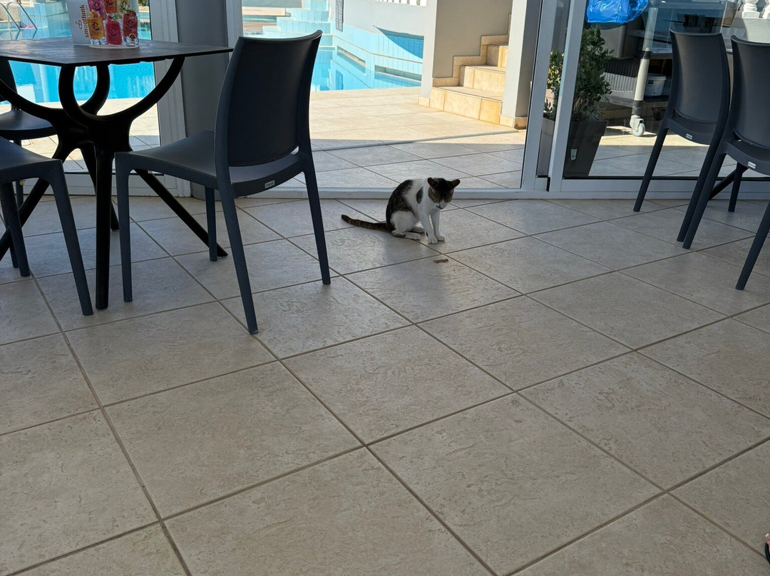 Hotel Caretta Beach主图