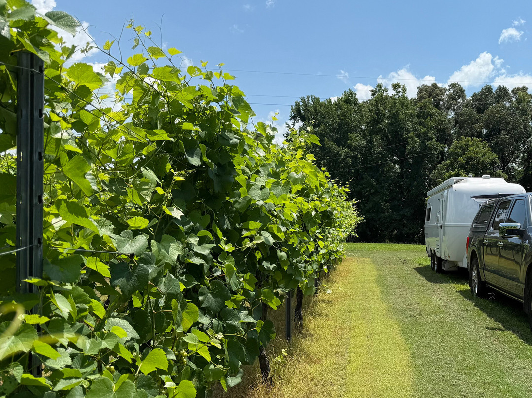 Century Farm Winery-Jackson必去景点