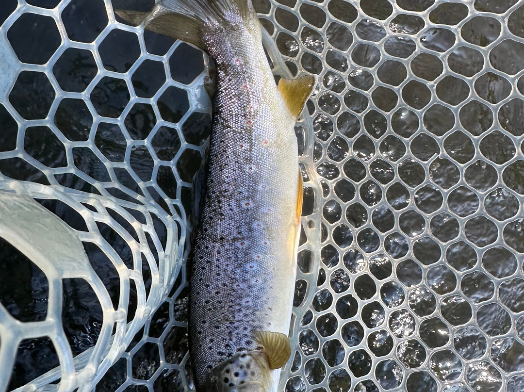 Colorado Angling Company-Wolcott必去景点