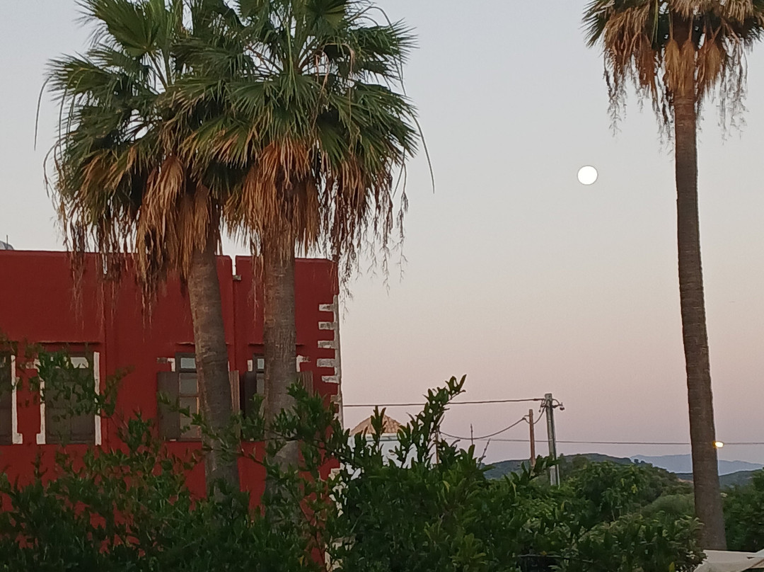 Oasis Guesthouse主图