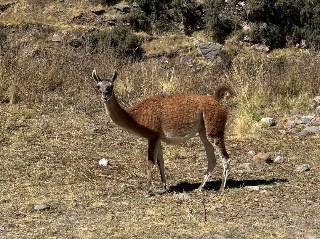 Tres Cañones-Espinar必去景点