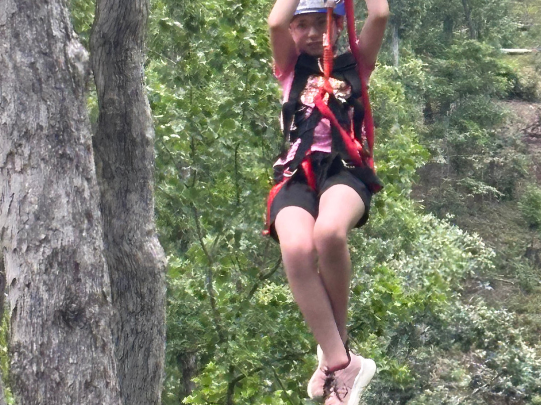 Upstate Zipline-Sunset必去景点