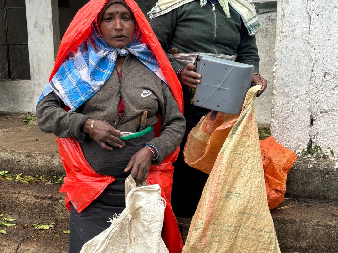 Dambatenne Tea Factory-哈普特莱必去景点