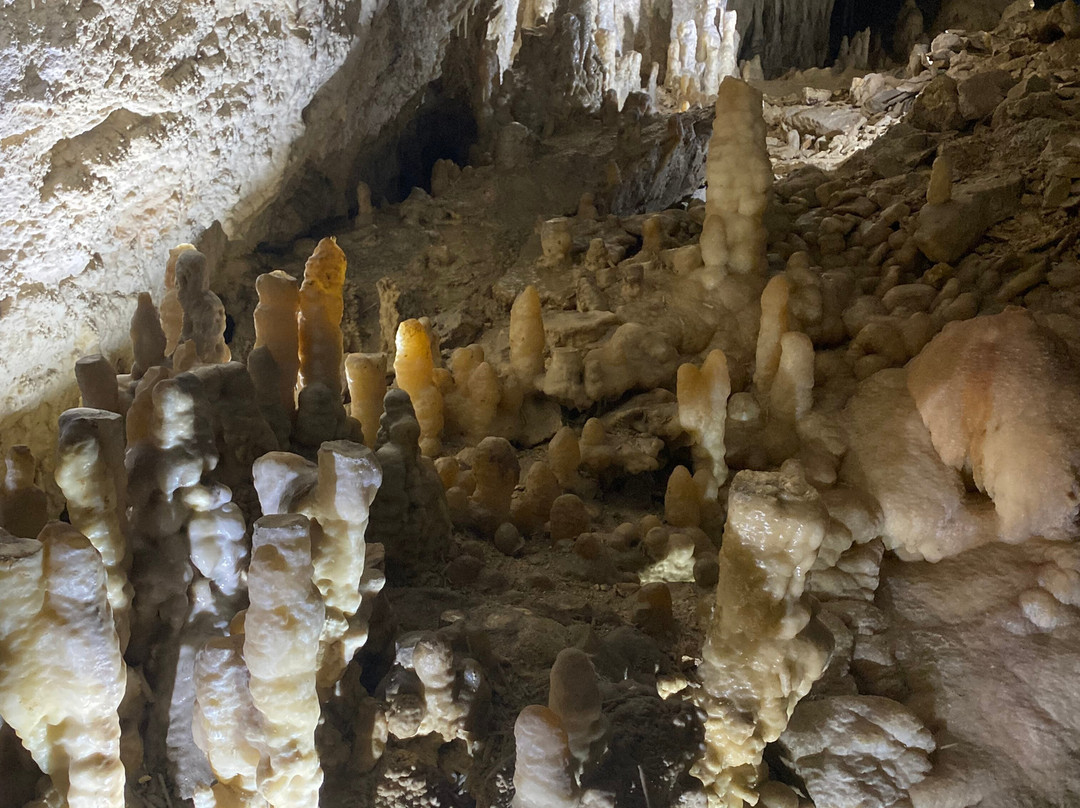 Grotte De Choranche-Choranche必去景点