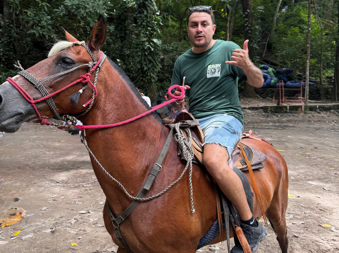 Costa Rica Monkey Tours -  Day Tours-萨玛拉滩必去景点