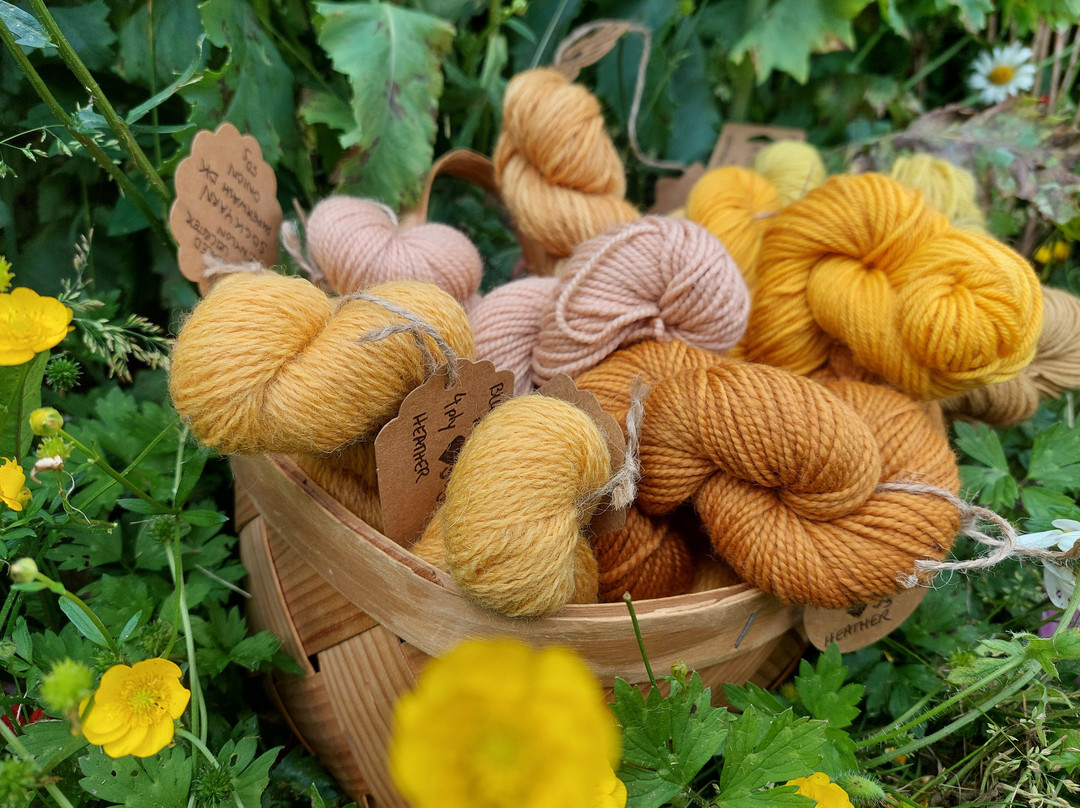Yorkshire Wild Wool