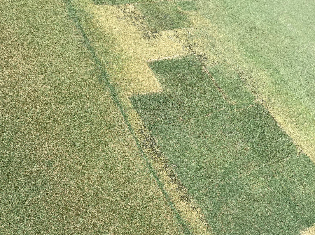 Amata Spring Country Club-春武里必去景点