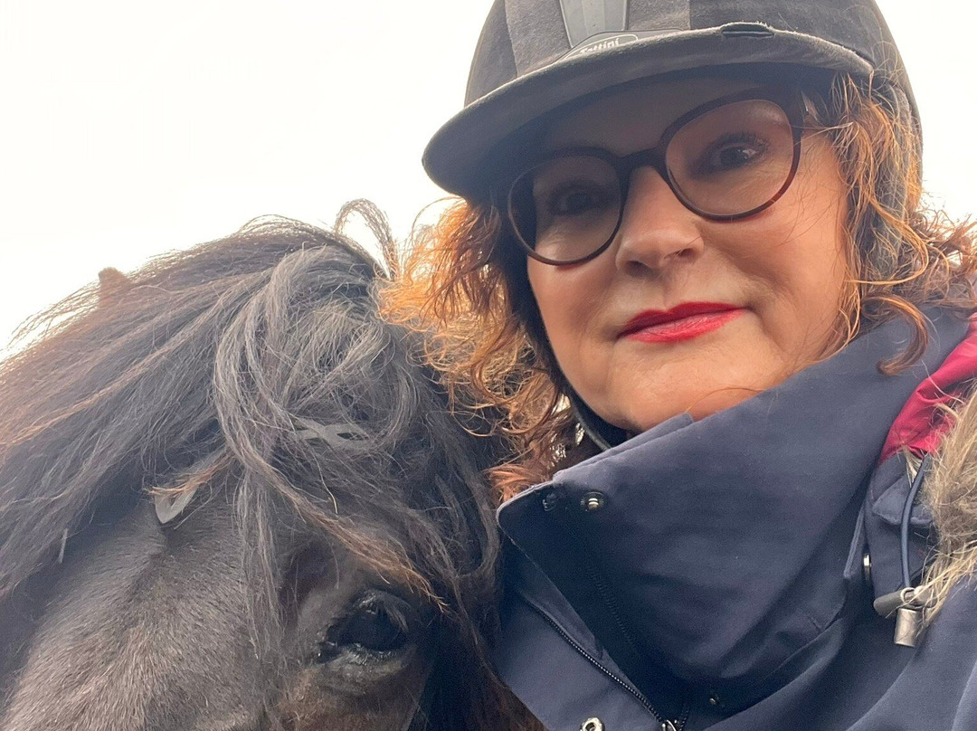 Mr. Iceland-莫斯费德斯拜尔必去景点