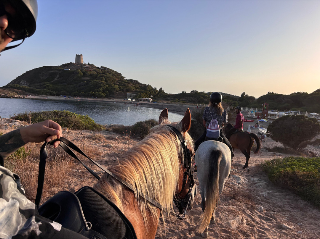 Maneggio Quattro Mori-Domus de Maria必去景点