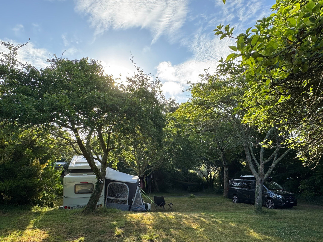 Camping Happiness Side Pre