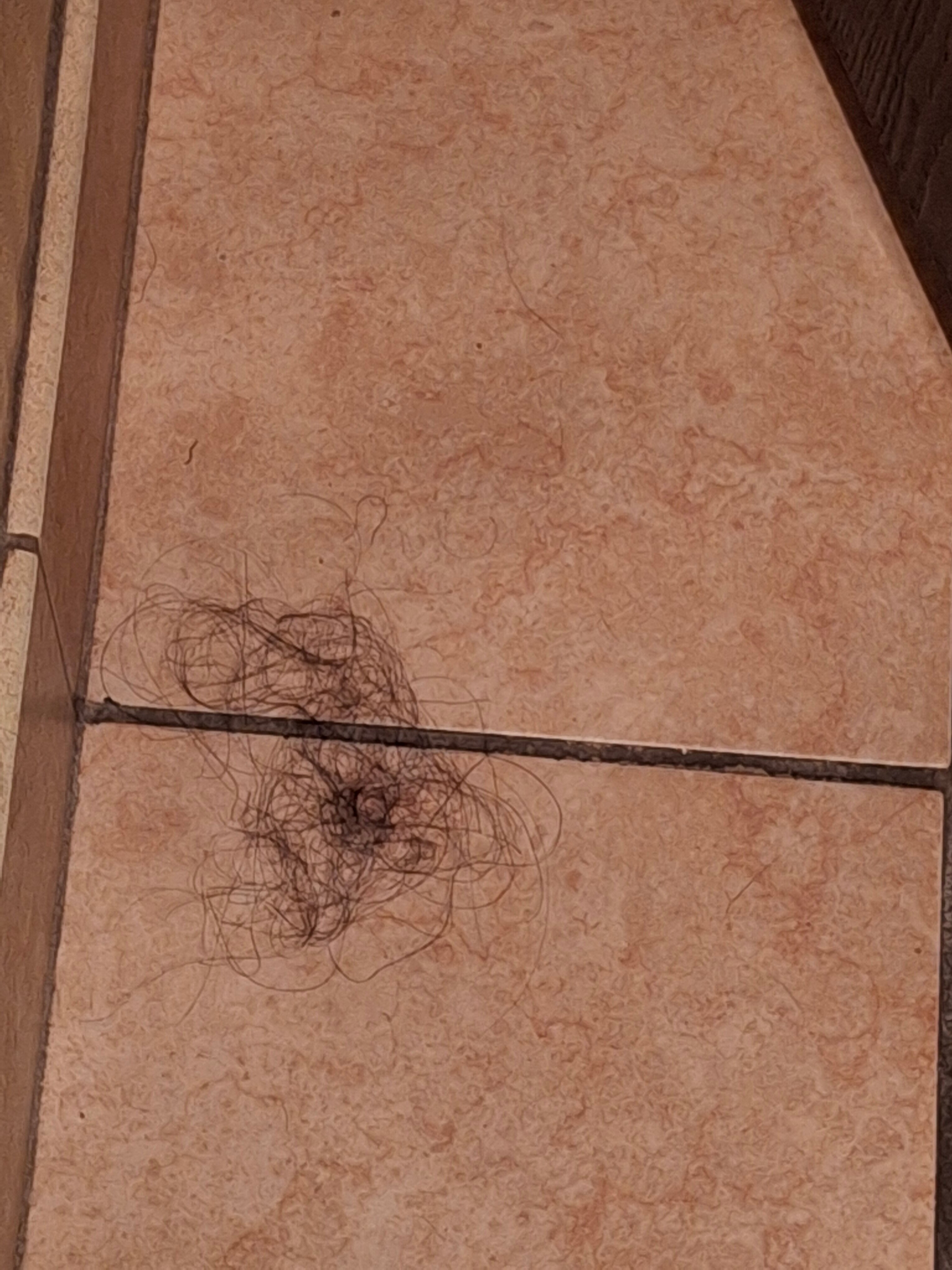 Ramada Plaza by Wyndham Sheridan Hotel & Convention Center-官方