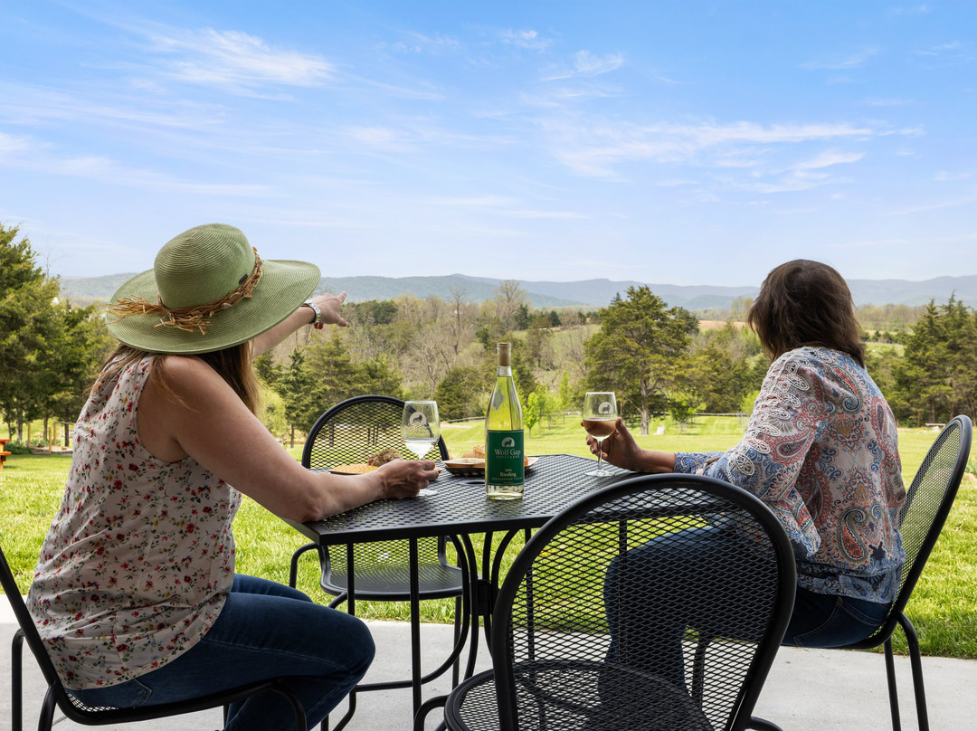 Wolf Gap Vineyard &  Winery-Edinburg必去景点