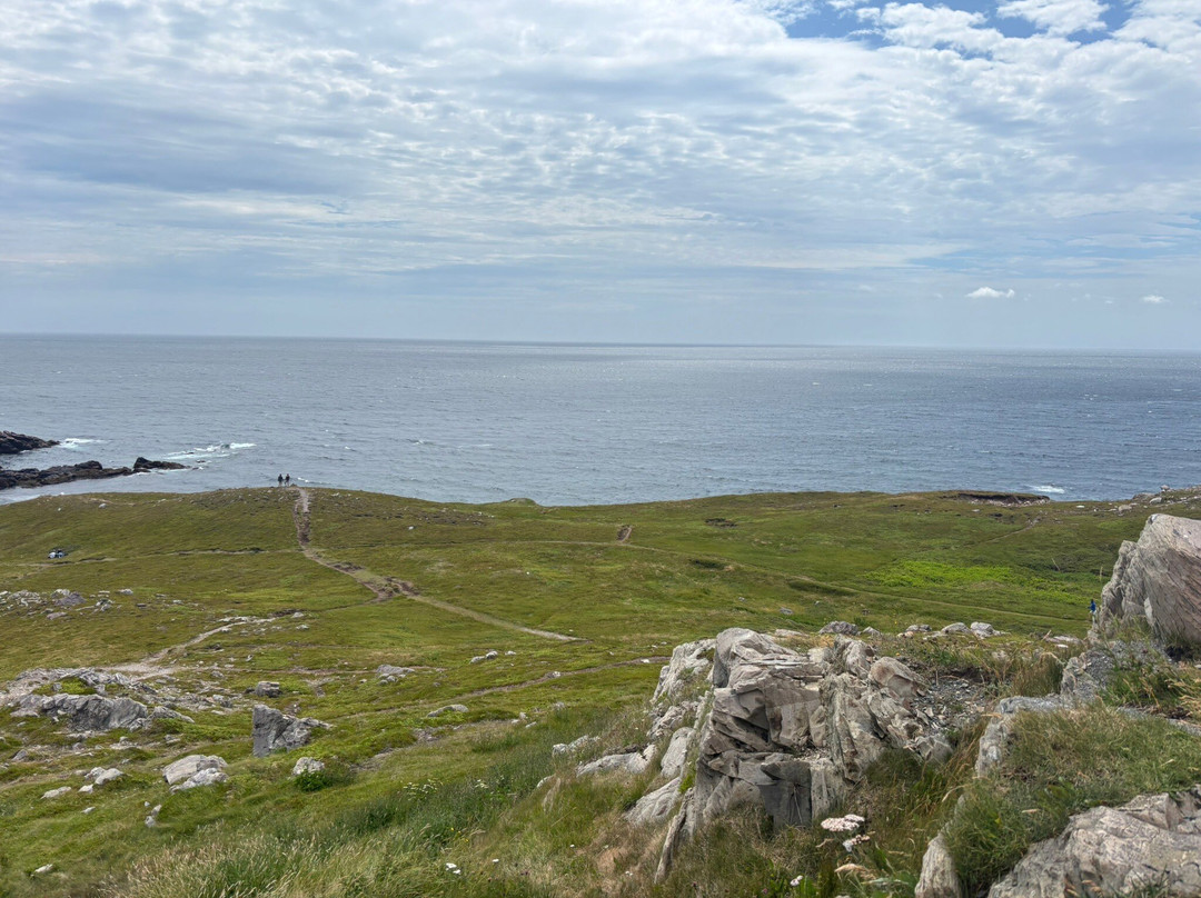 Lighthouse Picnics-Ferryland必去景点