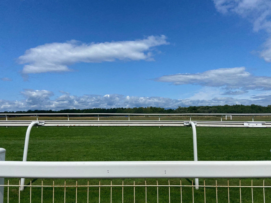 Musselburgh Racecourse-马瑟尔堡必去景点