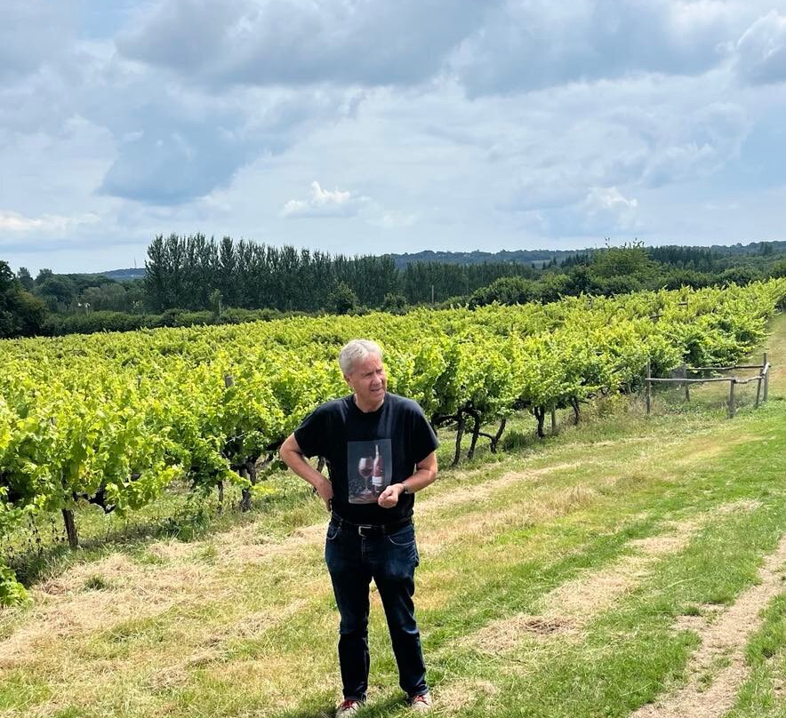 Carr Taylor Vineyard-韦斯特菲尔德必去景点