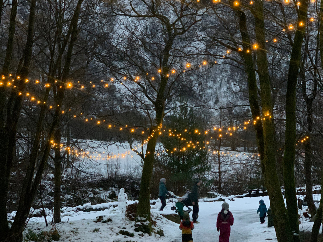 Steinparken-Rosendal必去景点