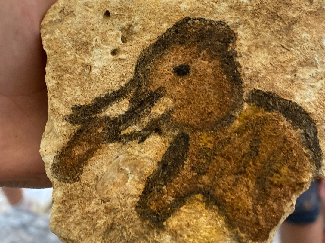 Roc de Cazelle-Les Eyzies-de-Tayac-Sireuil必去景点