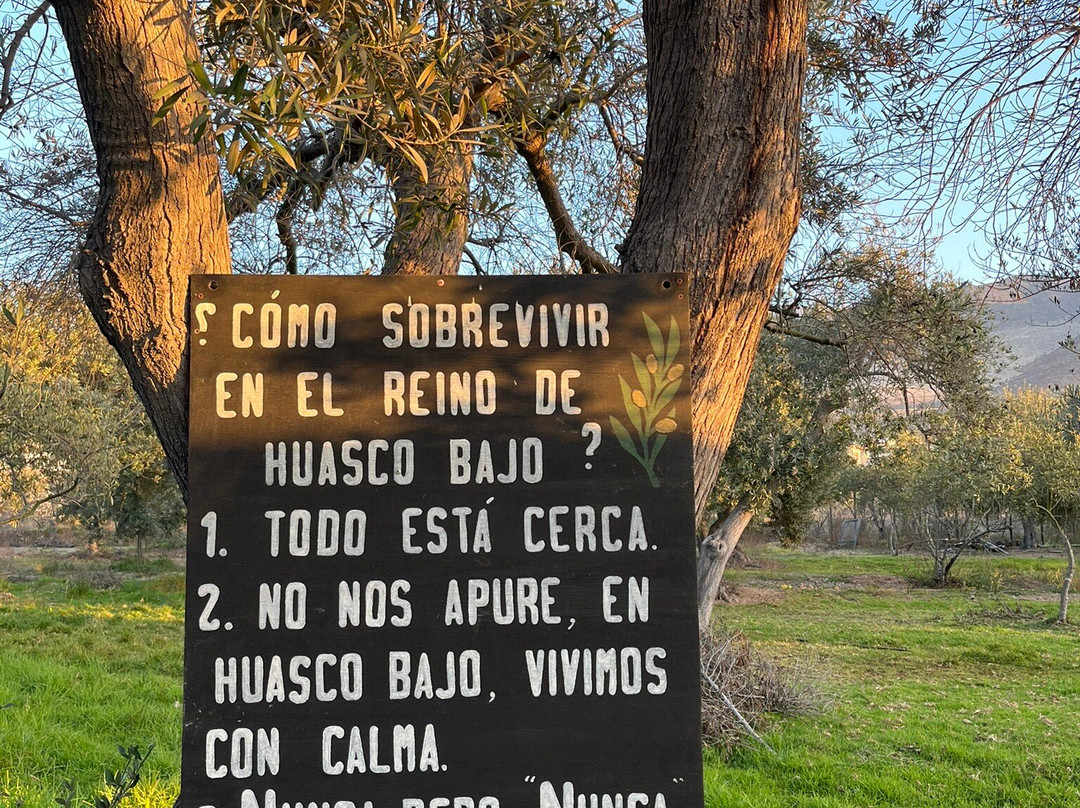 Olivos Centenarios-Huasco必去景点