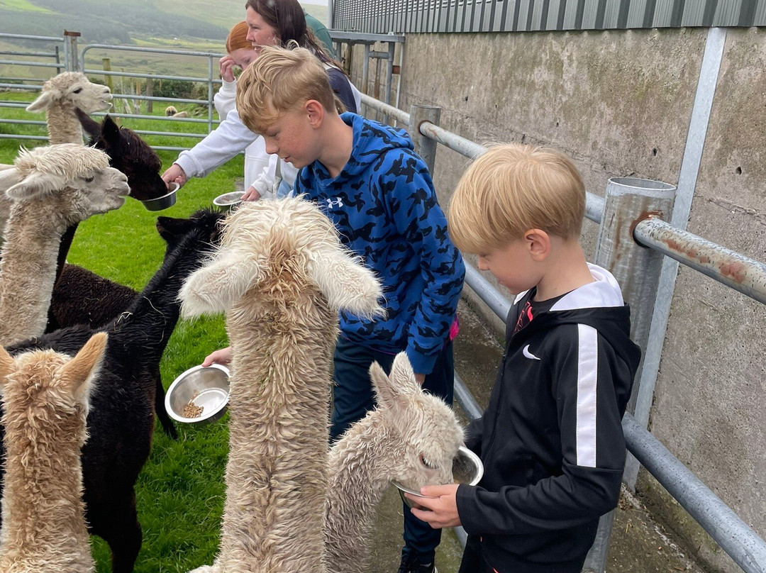 Hidden Hills Waterville-Waterville必去景点