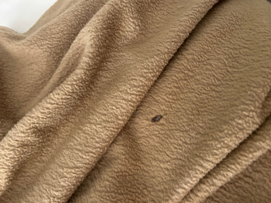 Super 8 by Wyndham Ruston主图