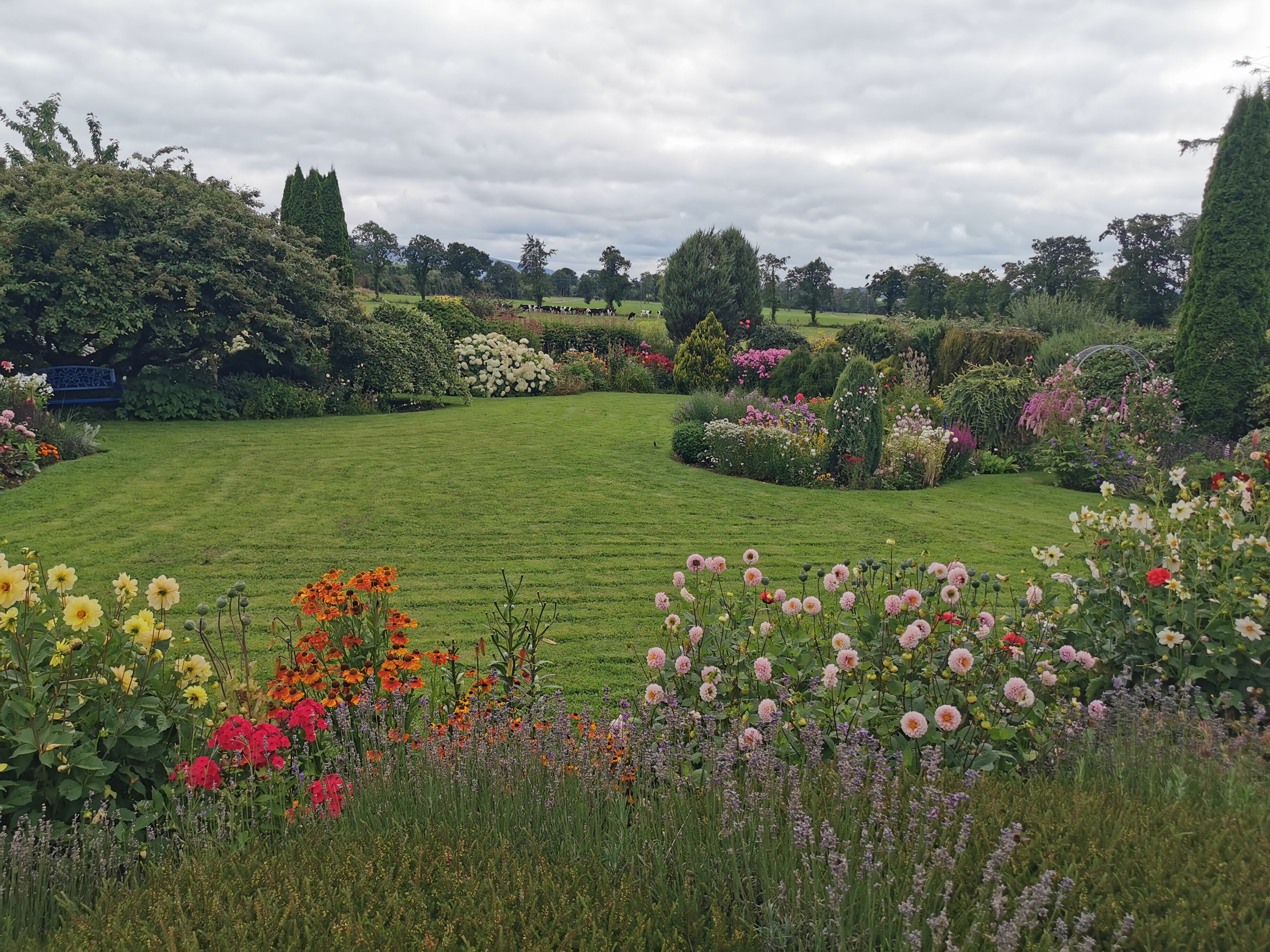 Willowbrook Bed & Breakfast-官方