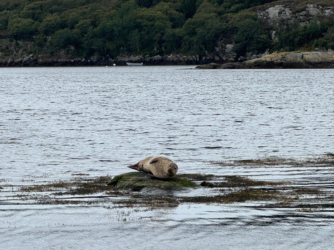 North Coast Sea Tours-Lochinver必去景点