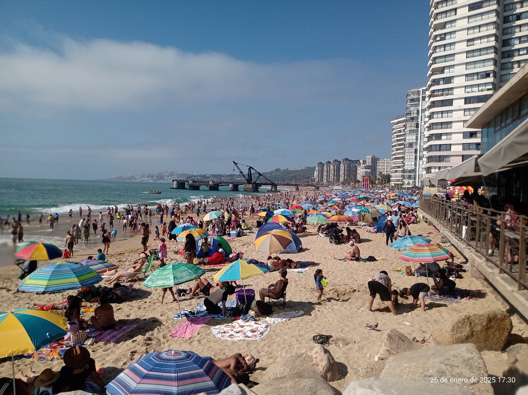 Costanera-比尼亚德尔马必去景点