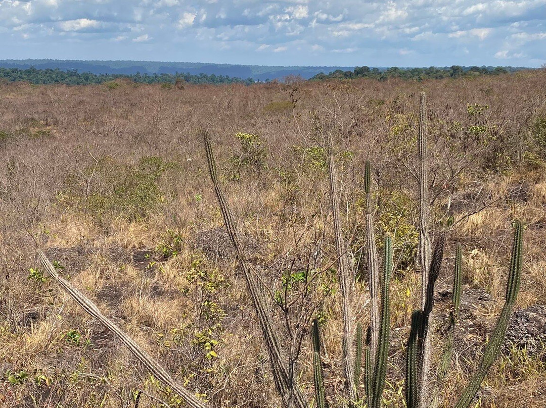 Floresta Nacional dos Carajas-Parauapebas必去景点