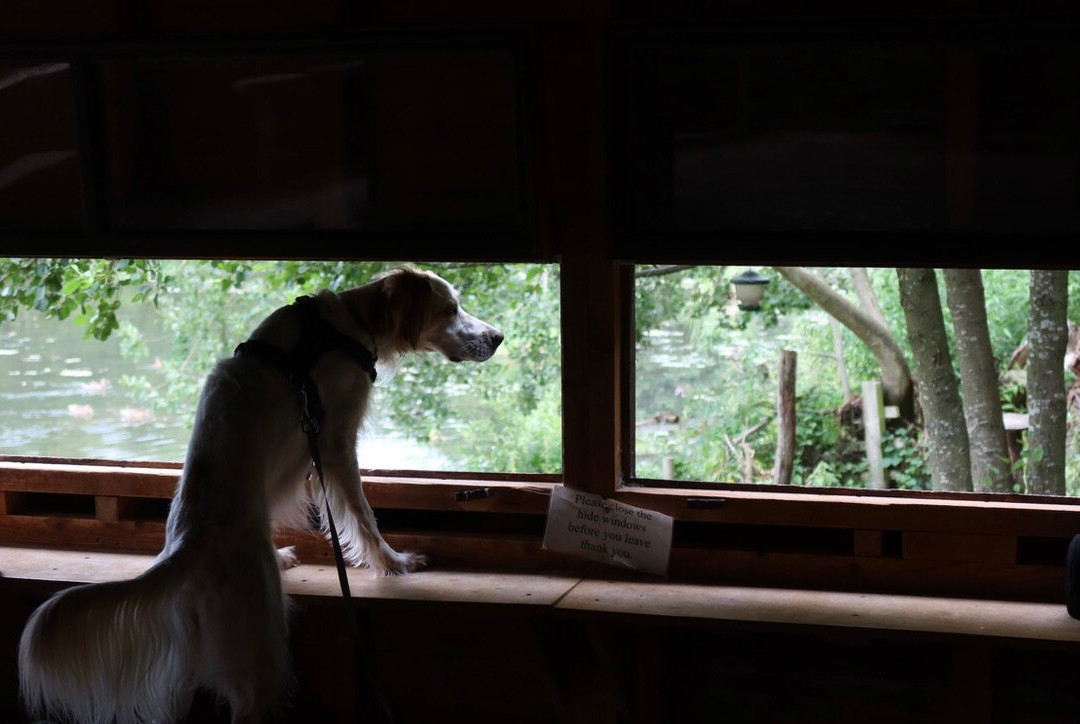 Low Barns Nature Reserve & Visitor Centre-Bishop Auckland必去景点