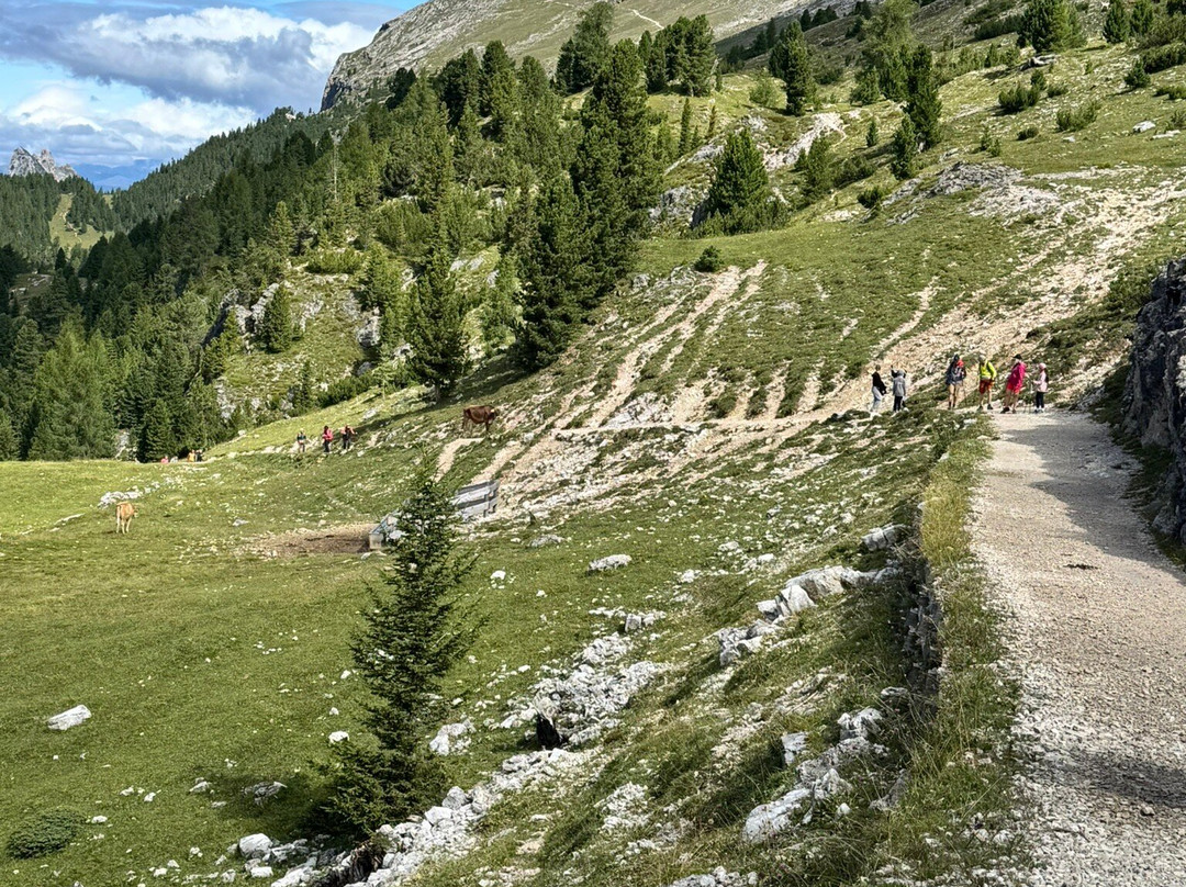 Escursione Sul Monte Specie-Braies必去景点