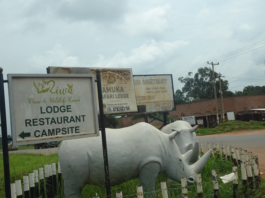 Ziwa Rhino & Wildlife Ranch-Nakitoma必去景点
